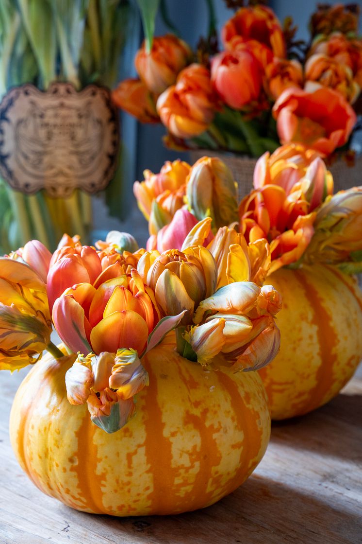 Halloweendukning med tulpaner och pumpor i dukning. DIY tips.