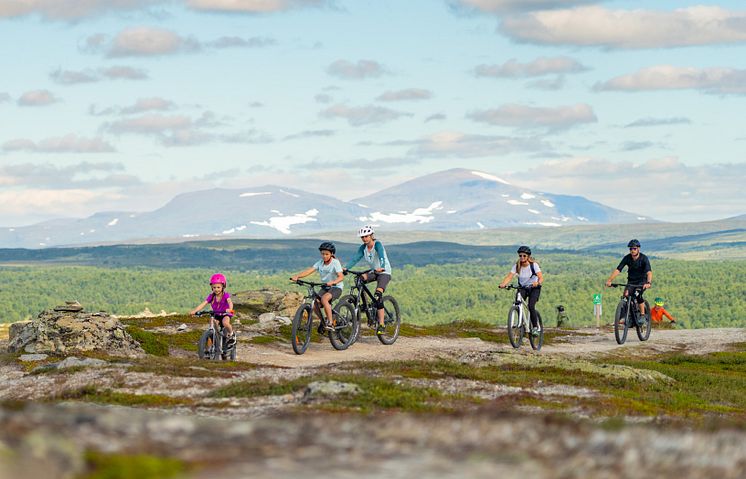 Fjällcykling i Tänndalen