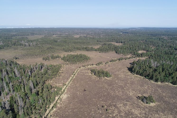 DJI_0210.JPG