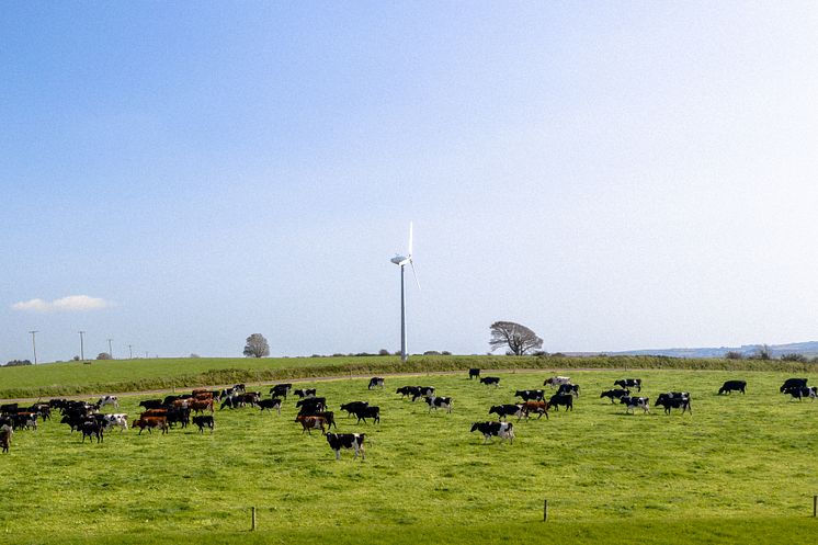 Grasslands at Farm Zero C