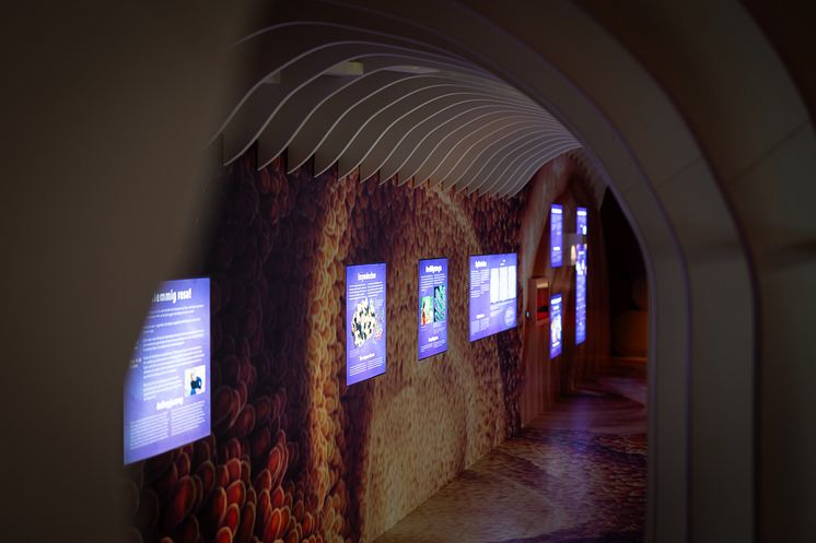 Universeum Lärmiljö Humans.jpg