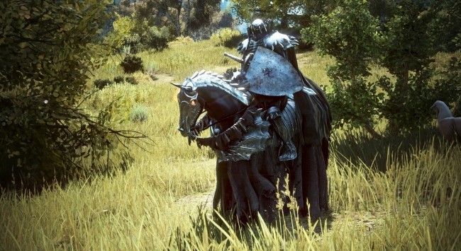 Black Desert x Berserk Collaboration Exclusive NPC ”Skull Knight”.jpg
