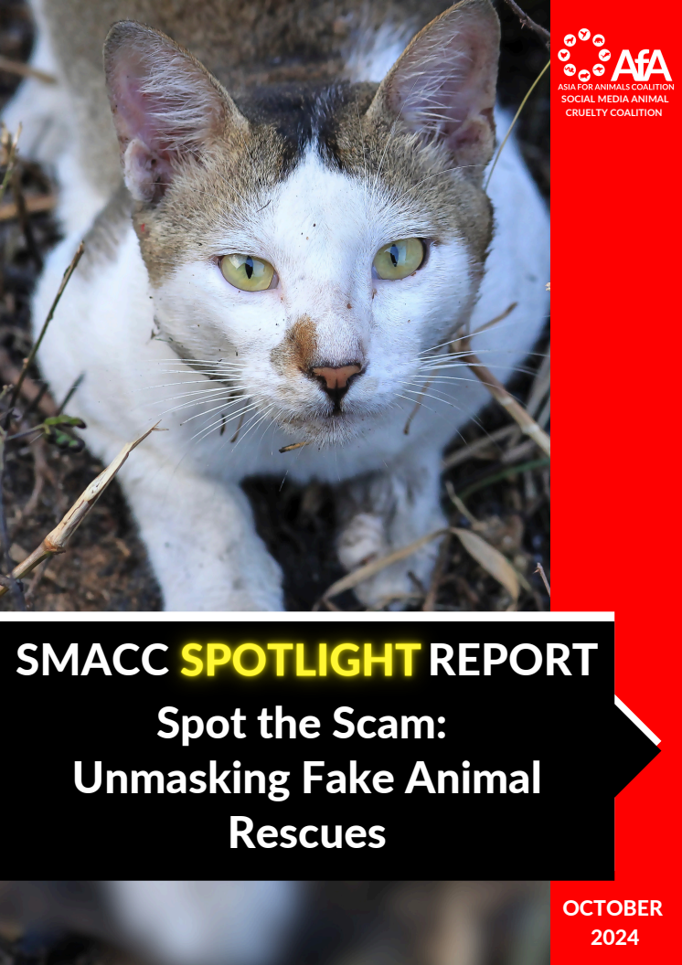 SMACC SPOTLIGHT REPORT - rapport om djurplågeri på sociala medier