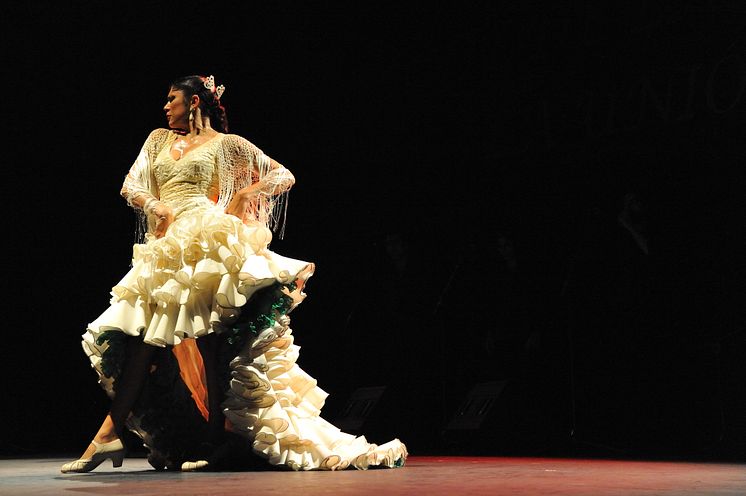 Flamenco Passion – Flamenco från Sevilla