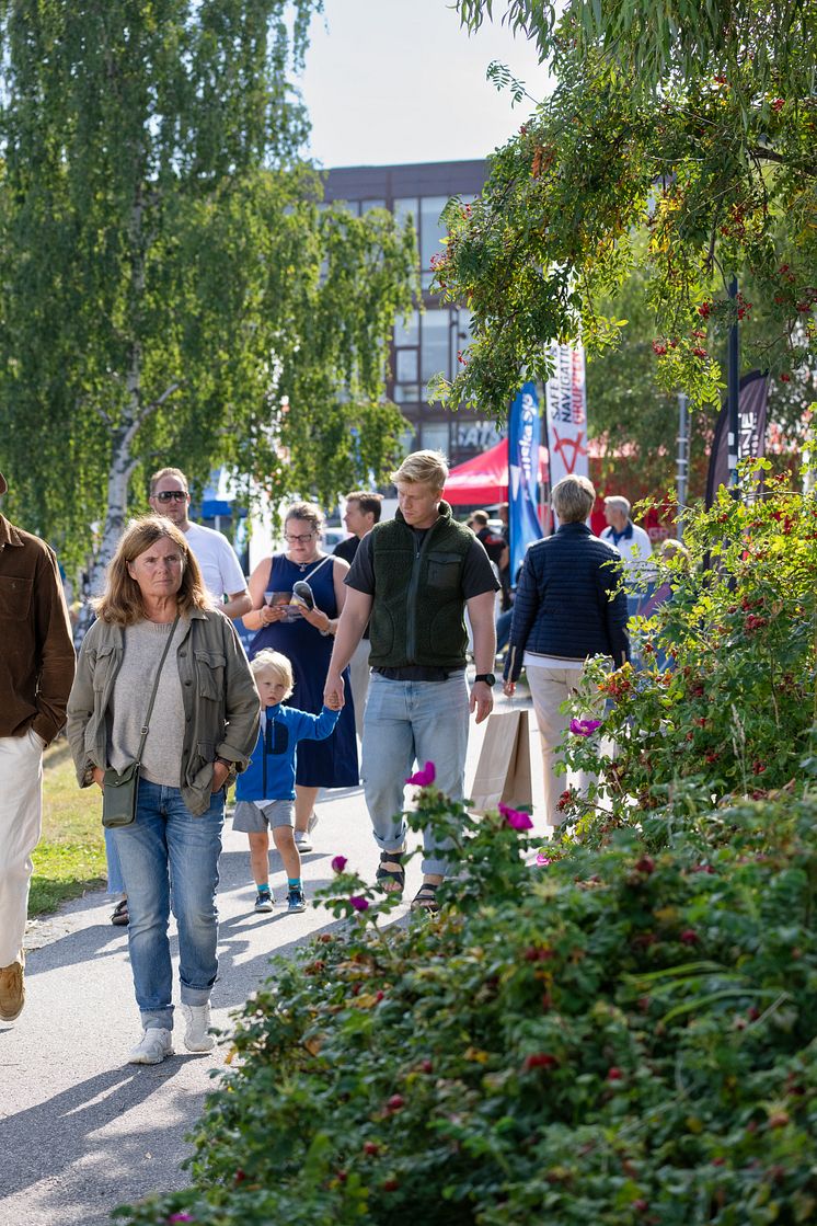Allt pa sjon 2024-2.jpg