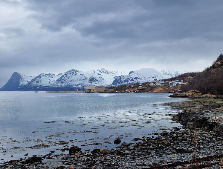 Trondenes_Ringberget -.jpg