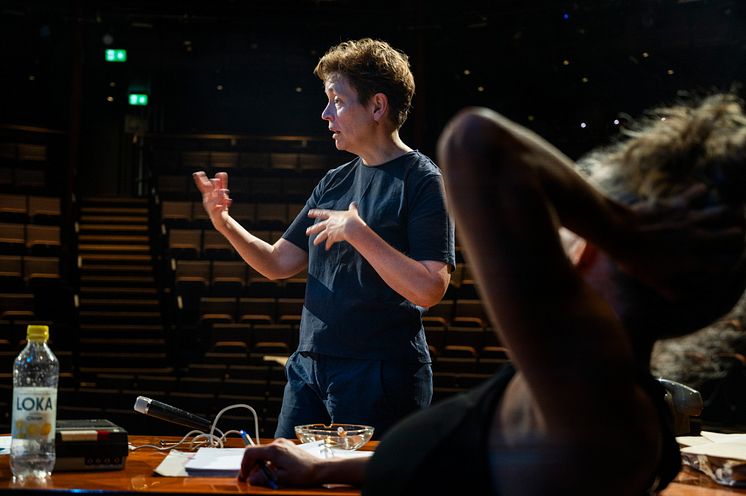 Person gestikulerar i en teatersalong.