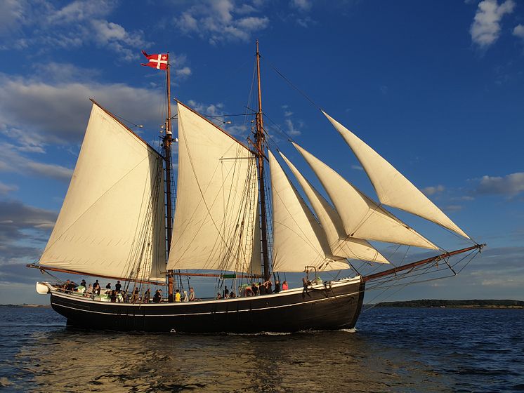 Bonavista_NatMusDK.jpg