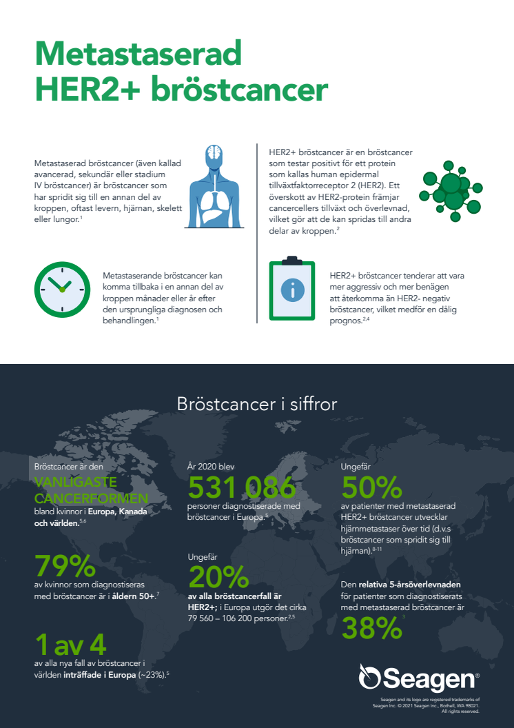Faktablad metastaserad HER2-positiv bröstcancer