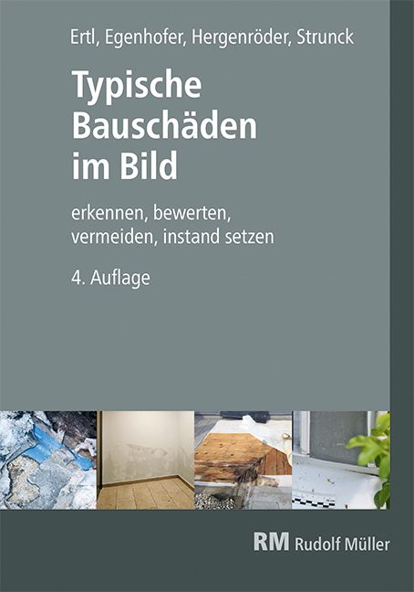 Typische Bauschäden im Bild, 4. Auflage (2D/jpg) 