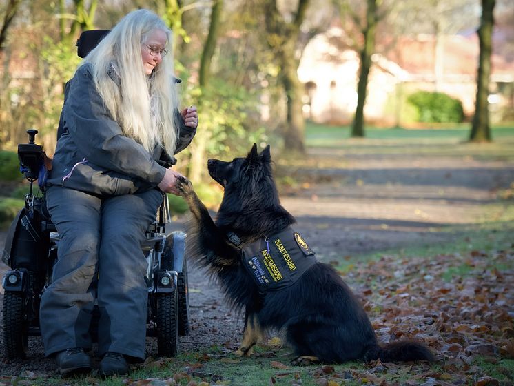 Gino är Årets Tjänstehund 2024 här med matte Annika Bengtsson Foto Hanna Nilsson.jpg
