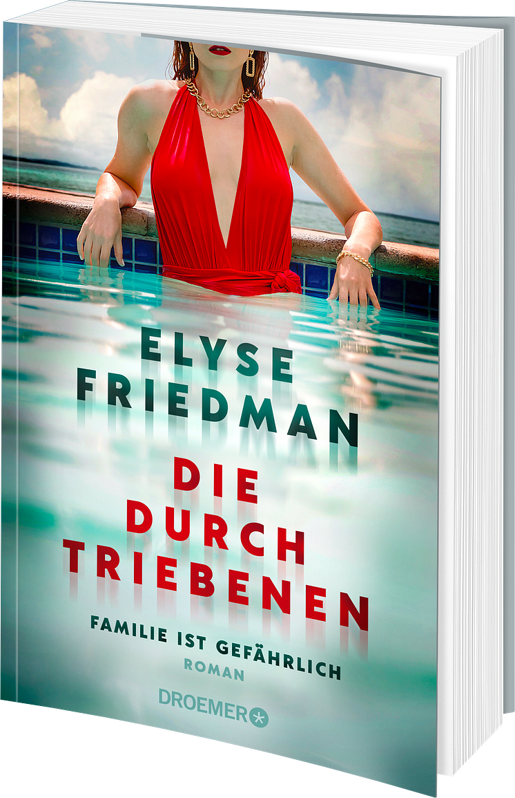 Cover_Die Durchtriebenen 3 D.png