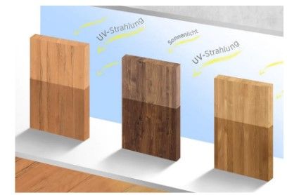 TH_News_250210_Projekt_Wave_Illustration_Holz.jpg