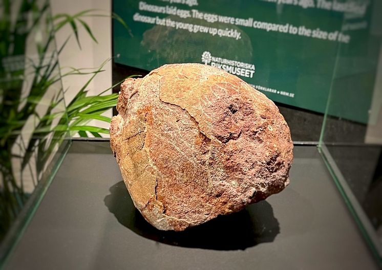 dinosaurieägg.jpg