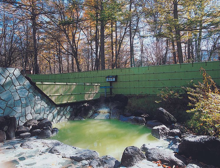 Nikko Astrea Hotel Onsen