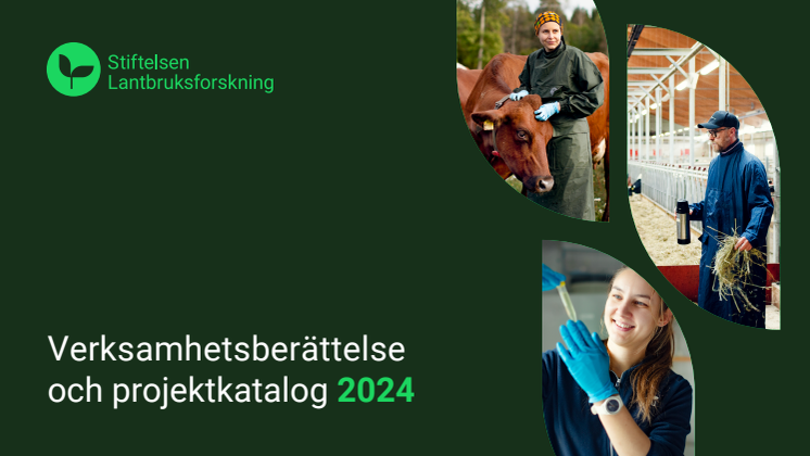 Verksamhetsberättelse-2024.pdf