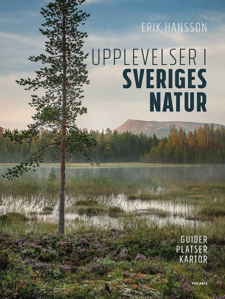 UPPLEV~1.JPG