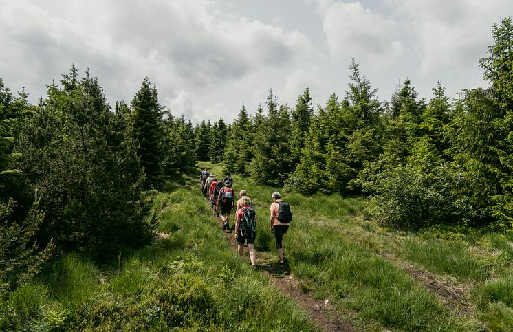 Gruppenwanderung_Oberwiesenthal_Foto_TVE_Dirk_Rueckschloss.jpg