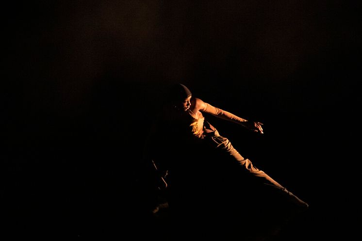 Company Nicolas Huchard - The barefoot diva