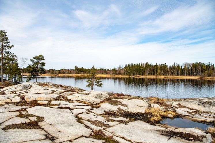 _DSC3089.jpg