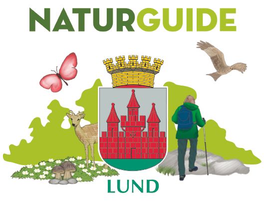 Naturguide Lund - logotyp