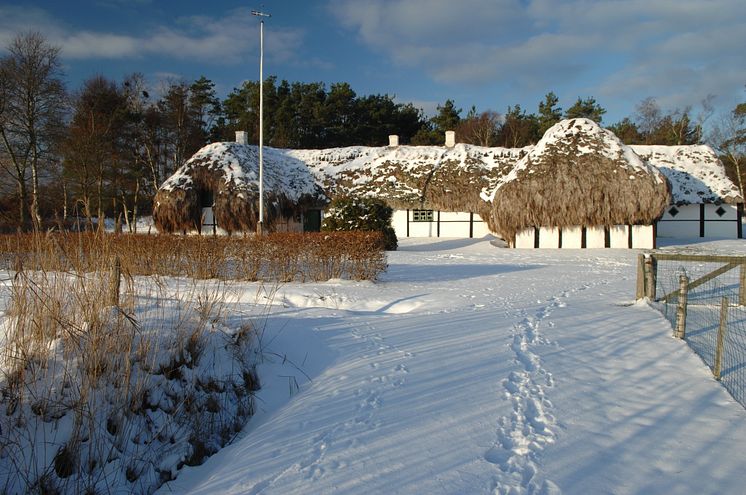 Vinter på øerne @Morten Pihler.JPG