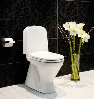 Nordic Star WC