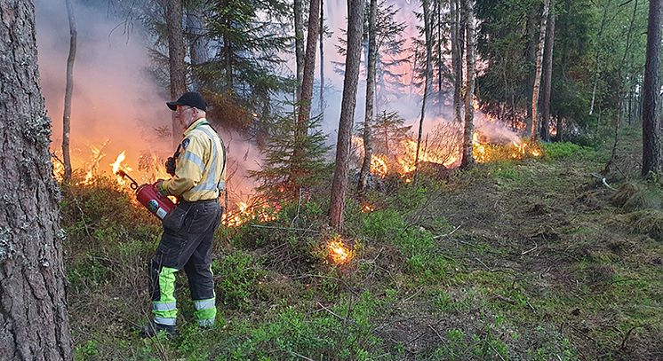 Naturvårdsbränning, naturreservatet Store Mosse