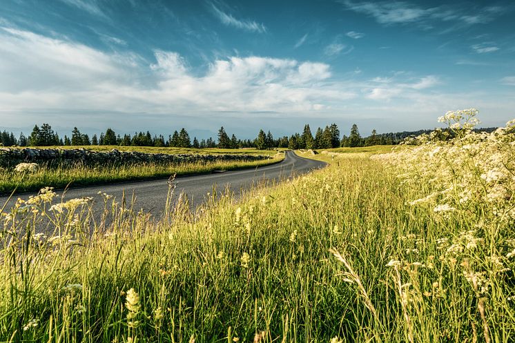 Saint-George-Col-du-Marchairuz_Waadtland