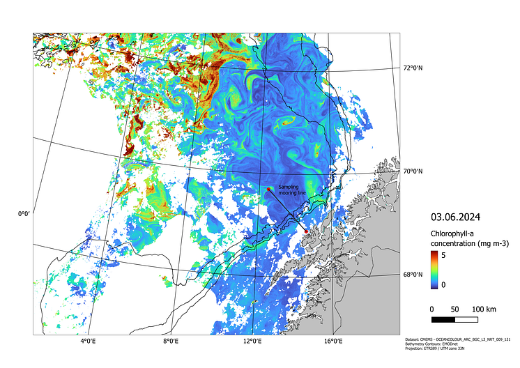 chlorophyll a Barents Sea