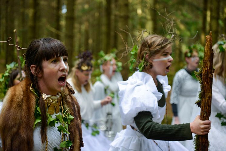 Carolinae_woods_EvaSjögren7.jpg