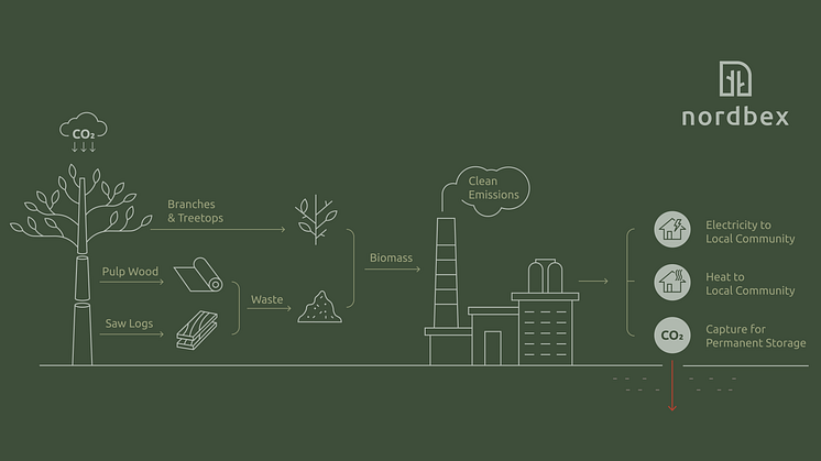 Nordbex infographic_light_MyNewsDesk.png