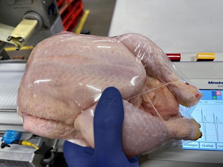 huhn_upscaled.jpg