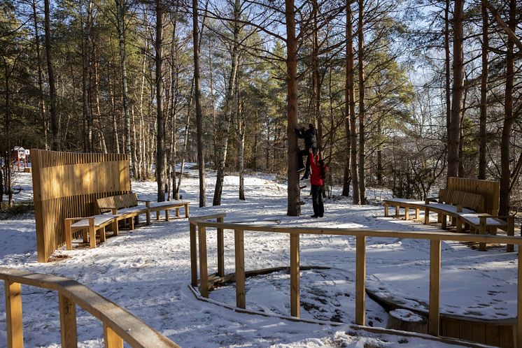 Vinterrum, LINK Arkitektur