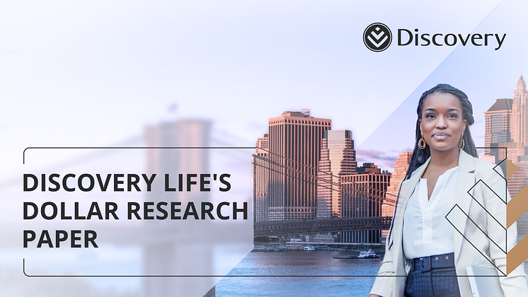 Dollar Life Research Paper - Banner.png