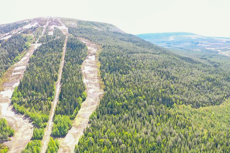 Stöten i Sälen - sommar i Stöten 2425