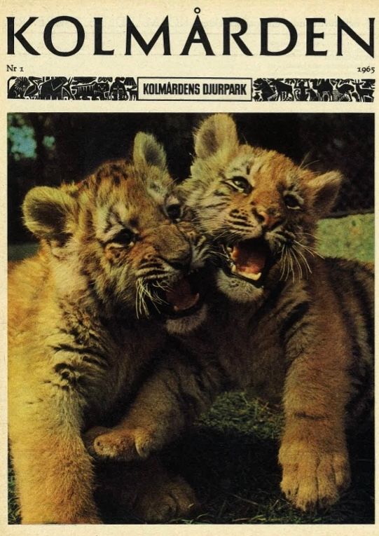 Tidningen Kolmården Nr 1 1965.jpg