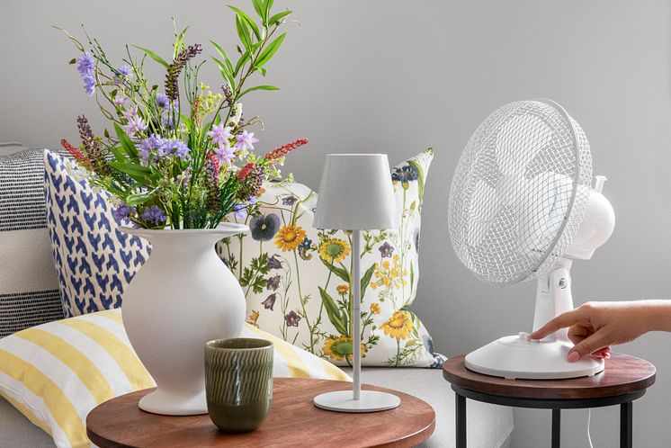 Rusta_2025_S1_table_fan-I.jpg