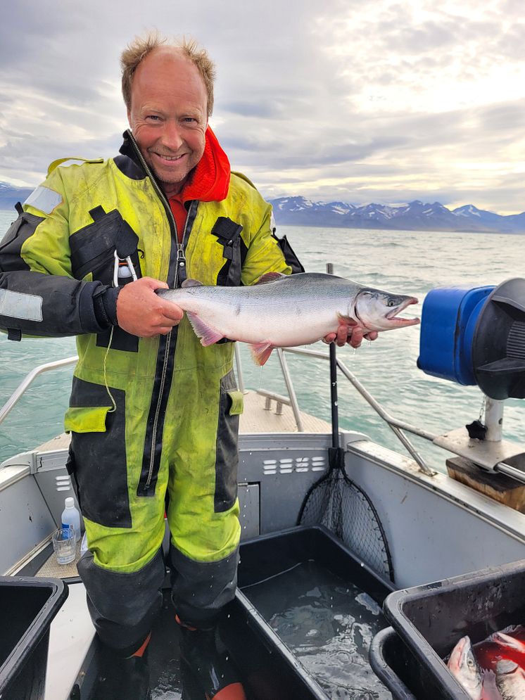 Guttorm C and tagged pink salmon.jpg