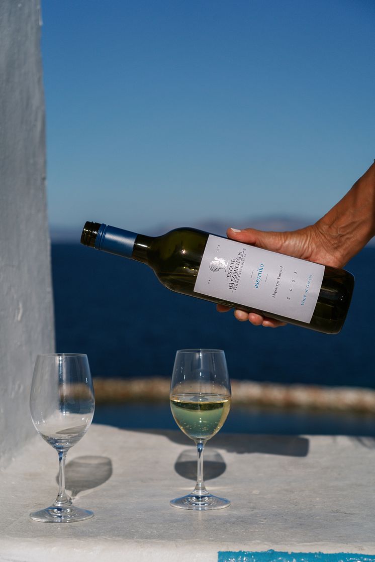 Assyrtiko Alepotrypa Vineyard 2023