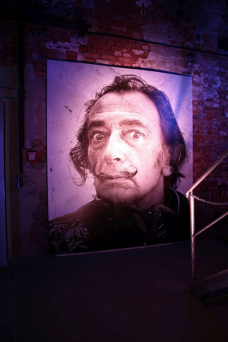 Kunstkraftwerk Leipzig - DALÍ: CYBERNETICS