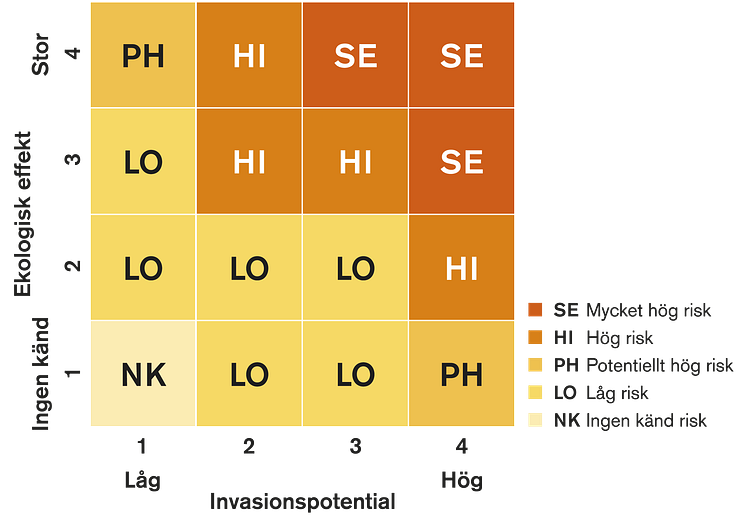 Riskklassificeringens kategorier högupplöst genomskinlig