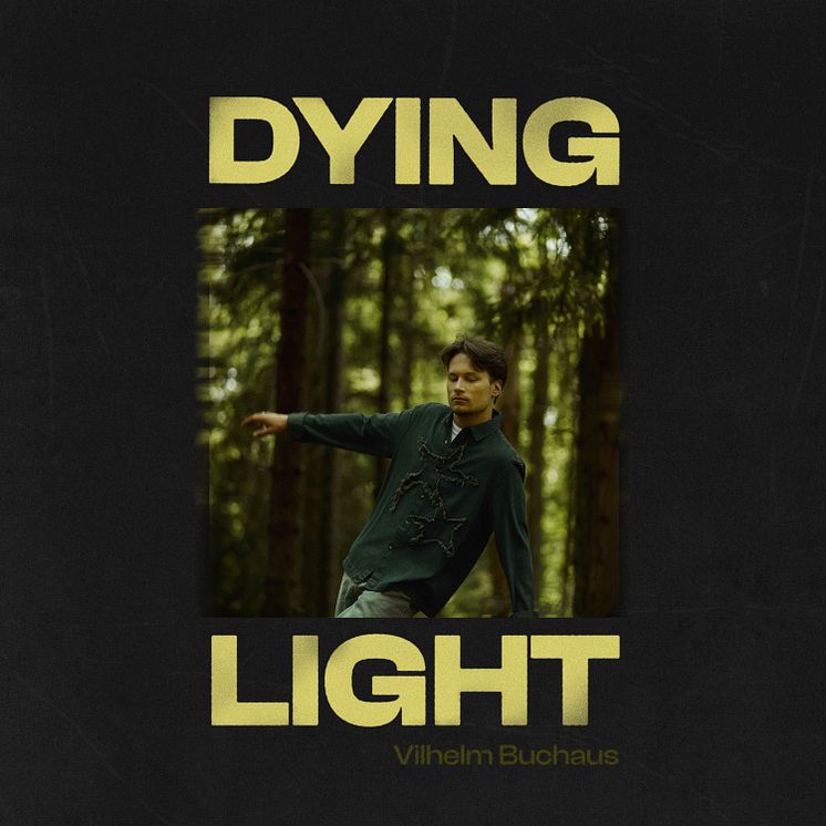 Dying Light (artwork)