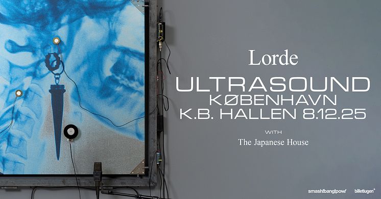 Lorde_event copy.jpg