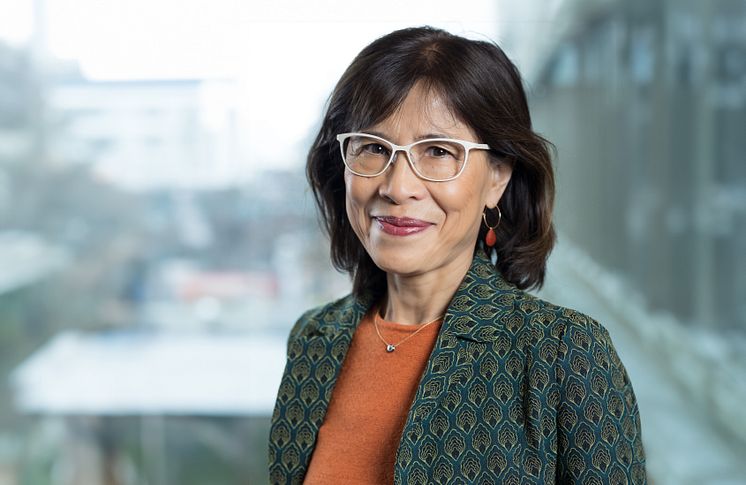 Hoai Anh Tran Malmö universitet 03.jpg