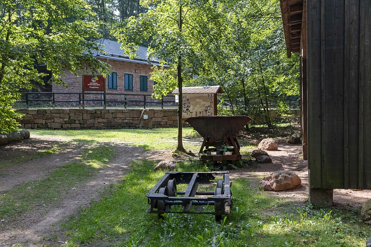 Rochlitzer Berg - Porphyrlehrpfad