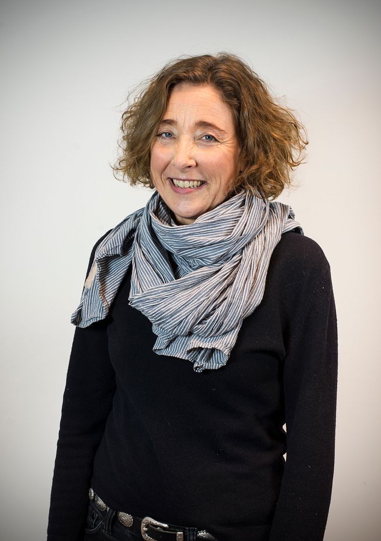 Karin_wendin Högskolan i Kristianstad.jpg