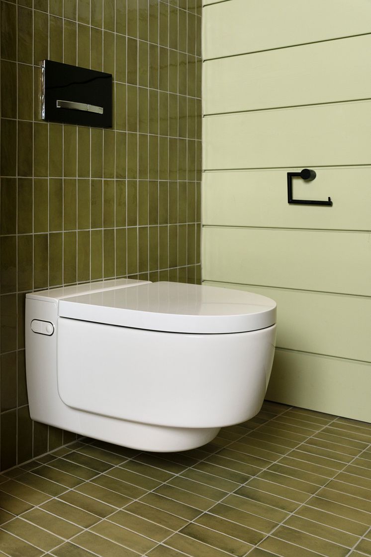 Geberit AquaClean Mera Comfort.jpg