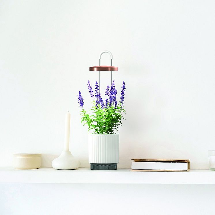 HydroVase-web-4.jpg