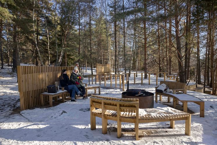 Vinterrum, LINK Arkitektur